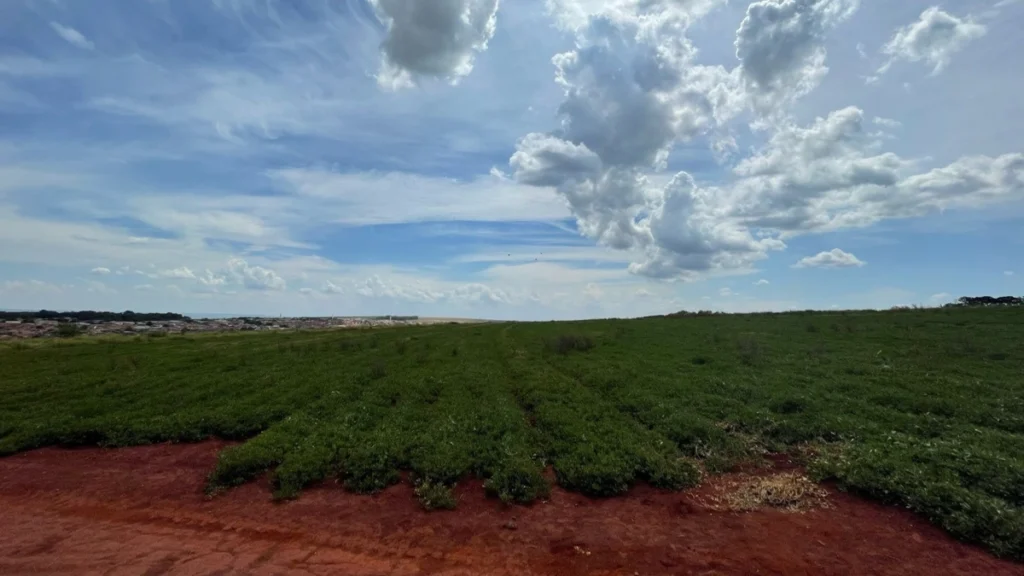 Terrenos em CravinhosSP, investimento seguro e valorização garantida