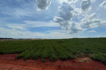Terrenos em Cravinhos/SP, investimento seguro e valorização garantida