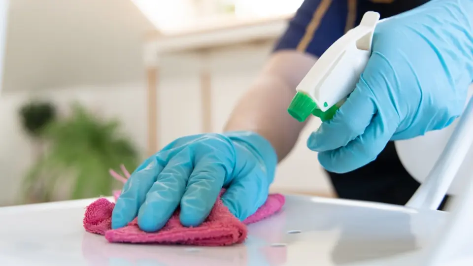 Como deixar sua casa cheirosa o dia todo sem gastar uma fortuna (segredo das experts!)