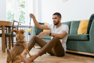Pode ter cachorro no apê? Descubra o que ninguém te conta (mas deveria) sobre morar com pets