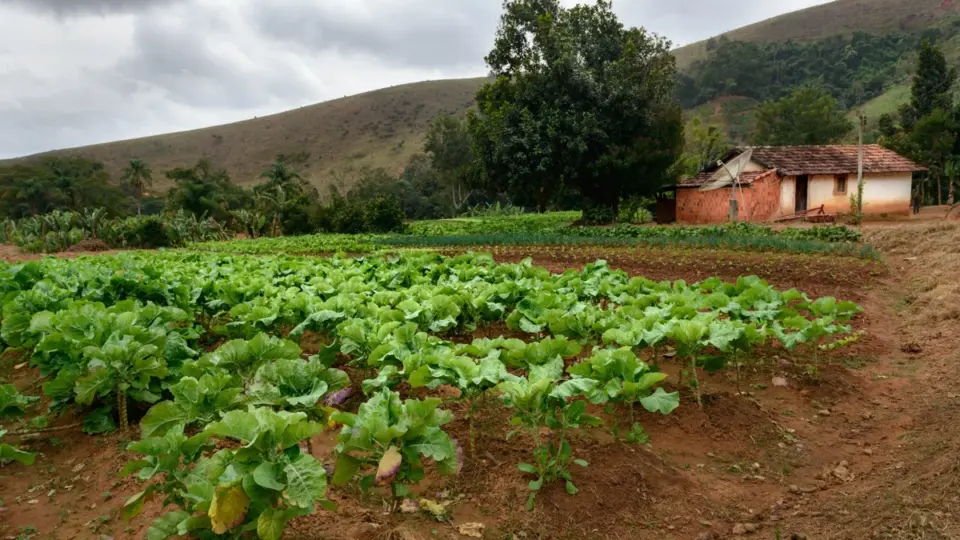 INCRA Descomplicado O que é e como influencia a vida no campo