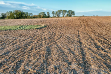 Alqueires e hectares: entendendo e aplicando as unidades de medida de área