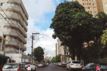 Jardim Botânico Ribeirão Preto: imóveis, preços e por que vale investir