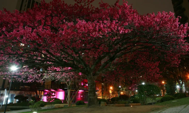 10 cidades brasileiras incríveis para morar e visitar