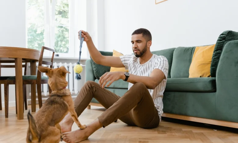 Pode ter cachorro no apê Descubra o que ninguém te conta (mas deveria) sobre morar com pets