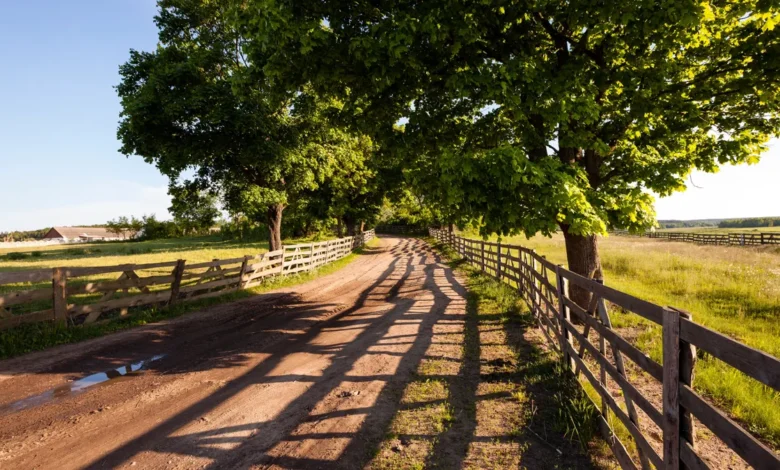 Tudo que você precisa saber sobre CNIR, CCIR, SNCR, CAFIR, CIB, CAR e ITR – guia completo